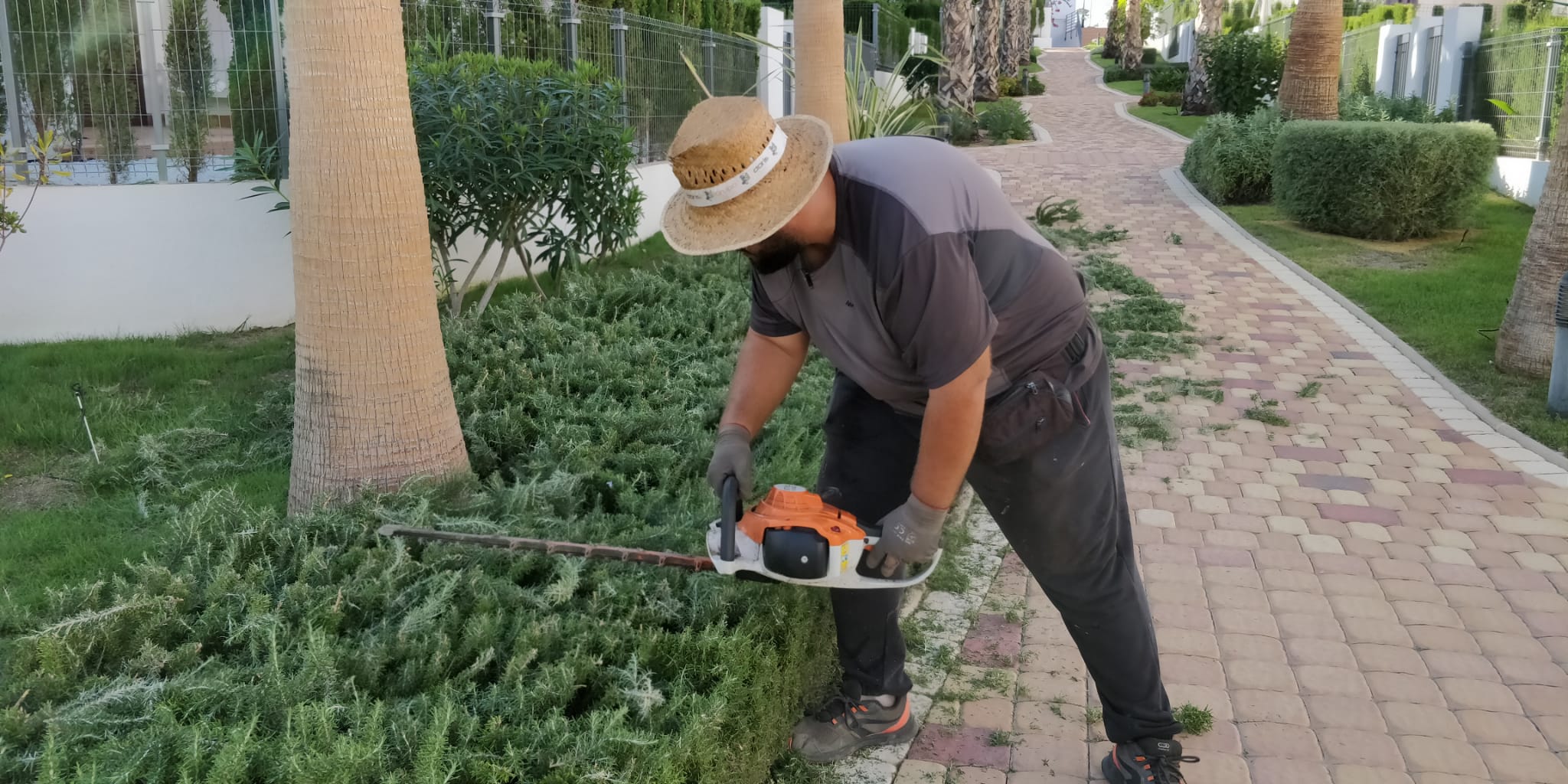 servicios de jardinería en San Juan De los Terreros